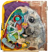 Bordalo II