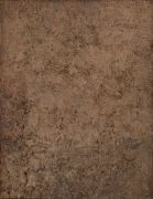 Mira Schendel