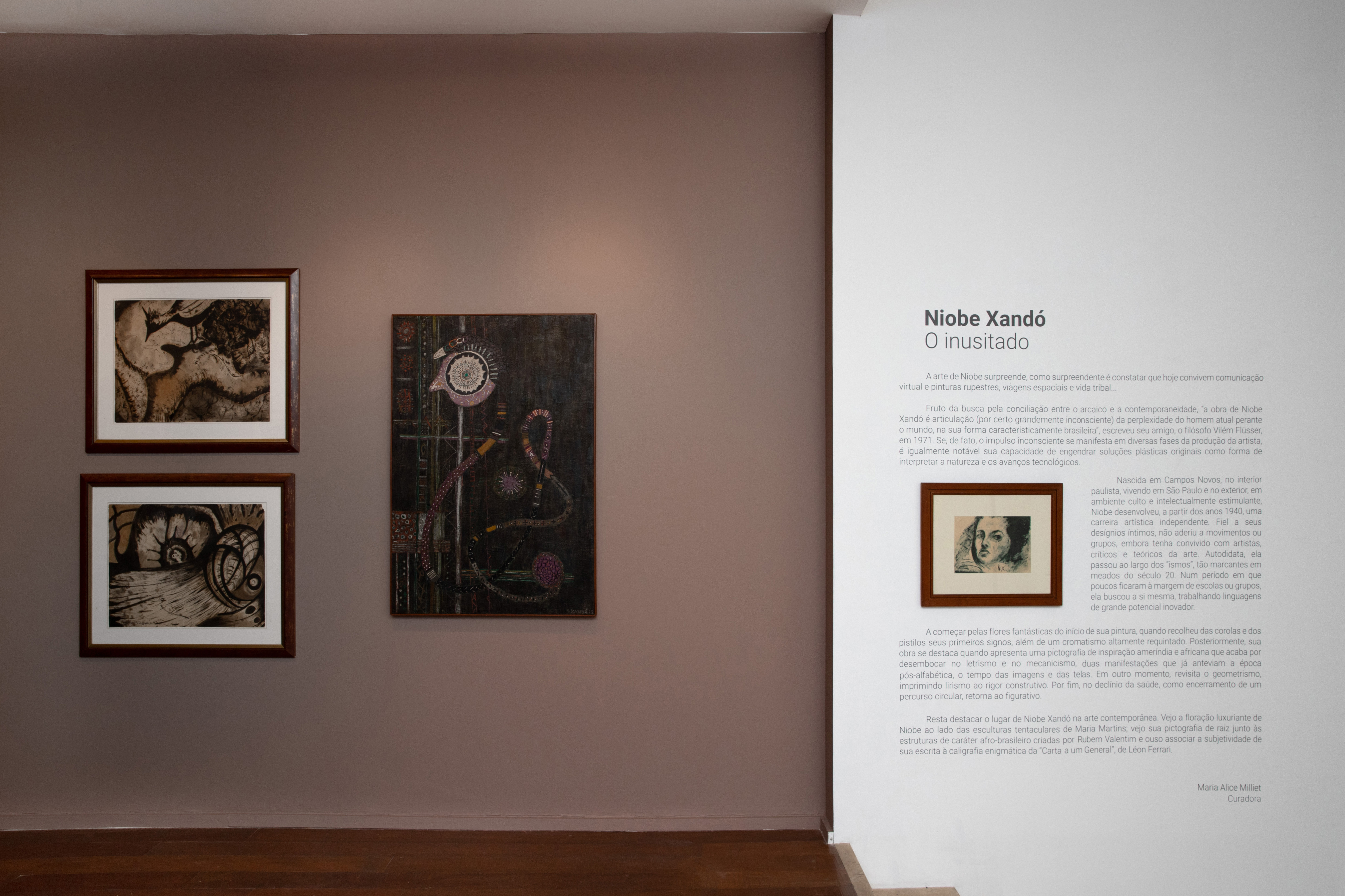 Niobe Xandó